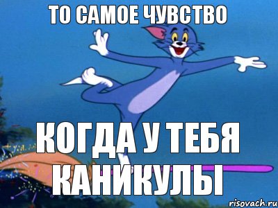 ТО САМОЕ ЧУВСТВО КОГДА У ТЕБЯ КАНИКУЛЫ, Мем летун