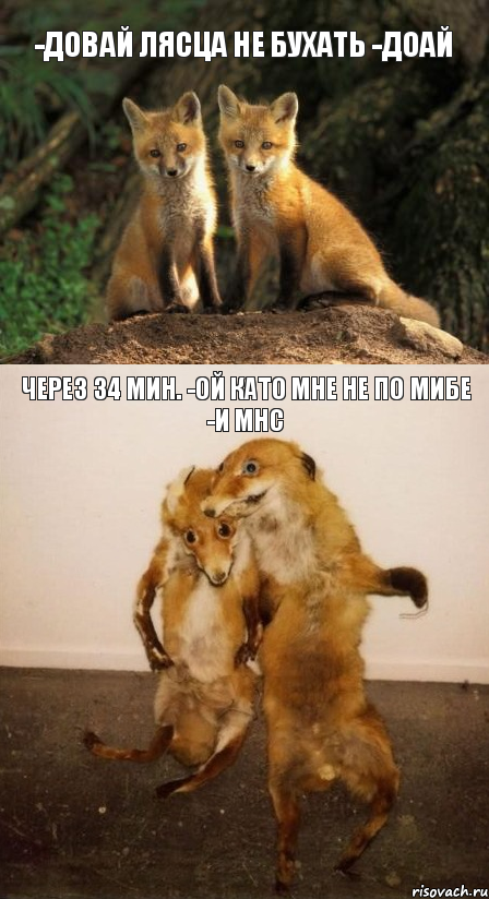 -довай лясца не бухать -доай через 34 мин. -ой като мне не по мибе -и мнс, Комикс Лисицы