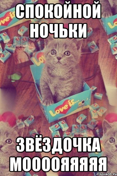 СПОКОЙНОЙ НОЧЬКИ ЗВЁЗДОЧКА МООООЯЯЯЯЯ