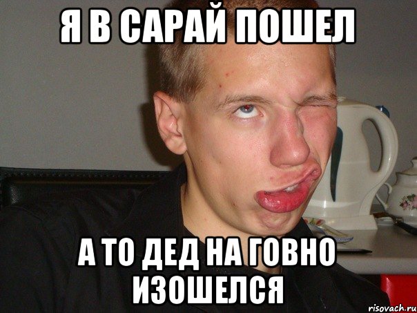Я в сарай пошел А то дед на говно изошелся