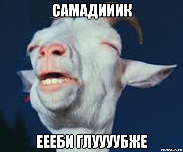 самадииик еееби глуууубже, Мем Мага