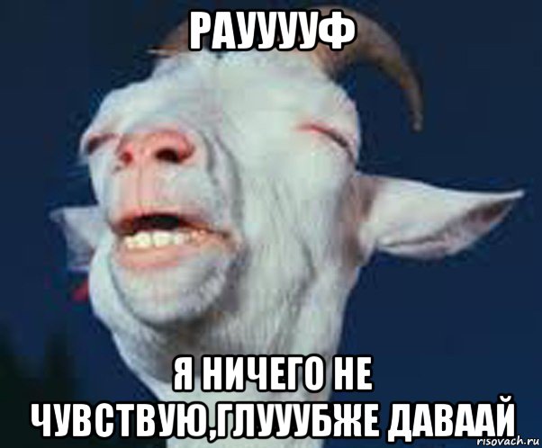 раууууф я ничего не чувствую,глууубже даваай, Мем Мага