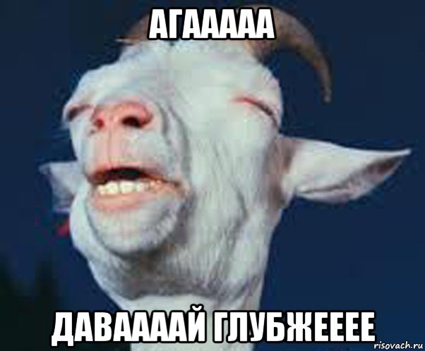 агааааа даваааай глубжееее, Мем Мага