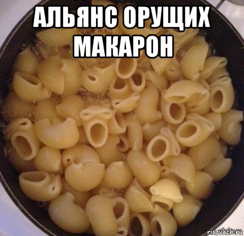 альянс орущих макарон 