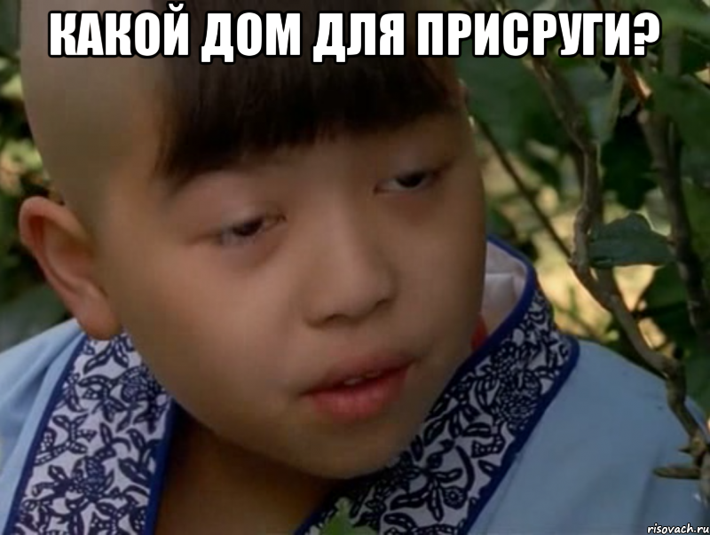 какой дом для присруги? 