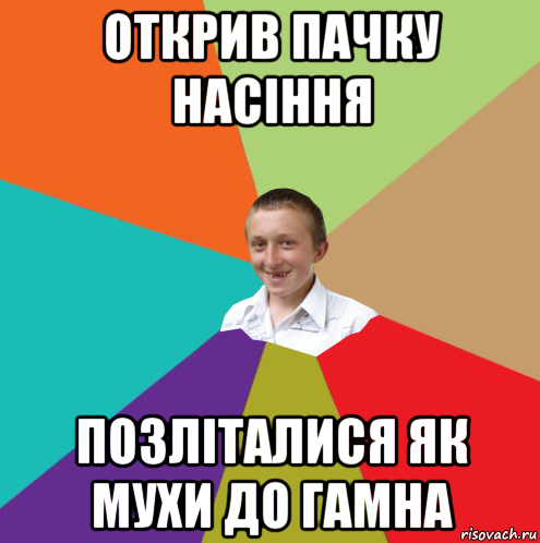 открив пачку насіння позліталися як мухи до гамна, Мем  малый паца