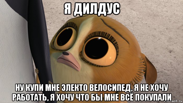 я дилдус ну купи мне электо велосипед, я не хочу работать, я хочу что бы мне всё покупали, Мем мам ну купи ну мааам