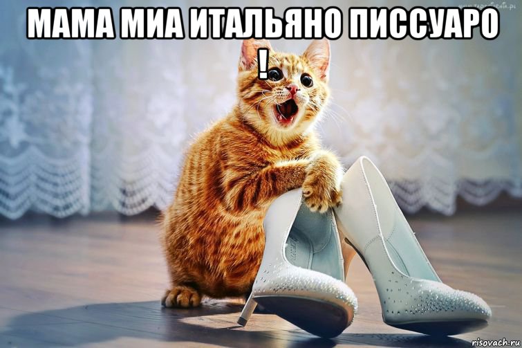 мама миа итальяно писсуаро ! 
