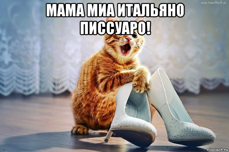 мама миа итальяно писсуаро! 