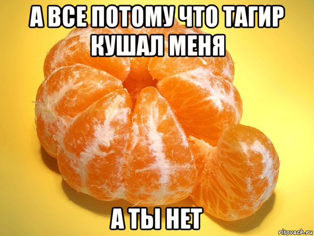 а все потому что тагир кушал меня а ты нет
