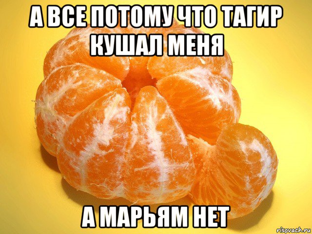а все потому что тагир кушал меня а марьям нет