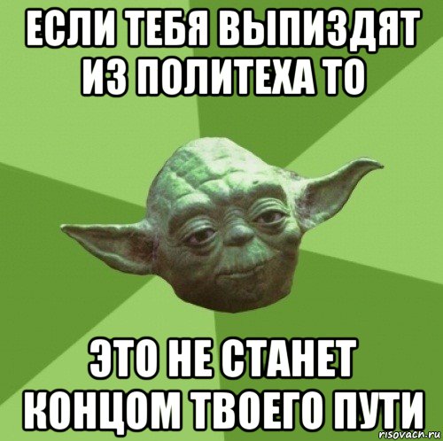 если тебя выпиздят из политеха то это не станет концом твоего пути, Мем Мастер Йода