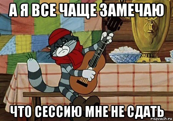 а я все чаще замечаю что сессию мне не сдать, Мем Грустный Матроскин с гитарой