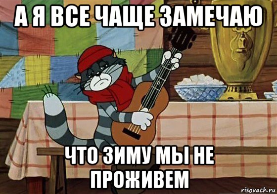 а я все чаще замечаю что зиму мы не проживем, Мем Грустный Матроскин с гитарой