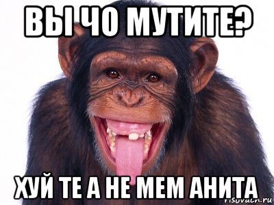 вы чо мутите? хуй те а не мем анита, Мем мавпа