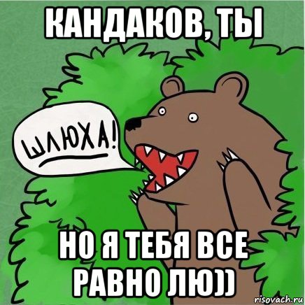 кандаков, ты но я тебя все равно лю)), Мем Медведь в кустах