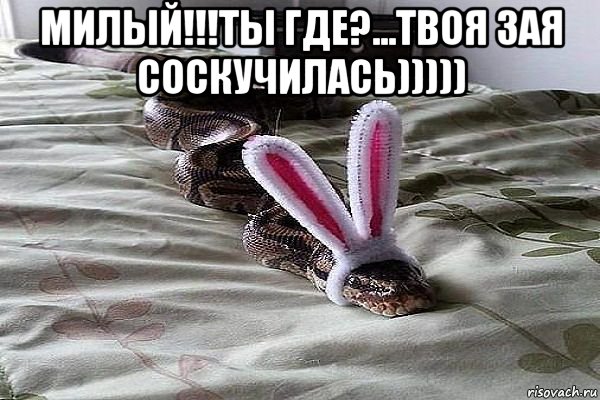 Соскучилась по члену