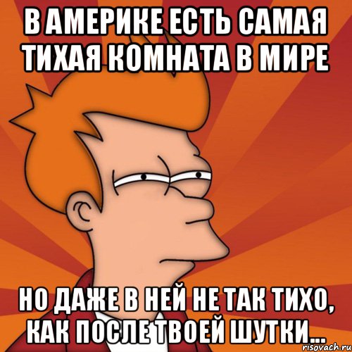 В Америке есть самая тихая комната в мире но даже в ней не так тихо, как после твоей шутки..., Мем Мне кажется или (Фрай Футурама)