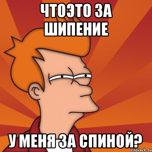 Чтоэто за шипение у меня за спиной?, Мем Мне кажется или (Фрай Футурама)