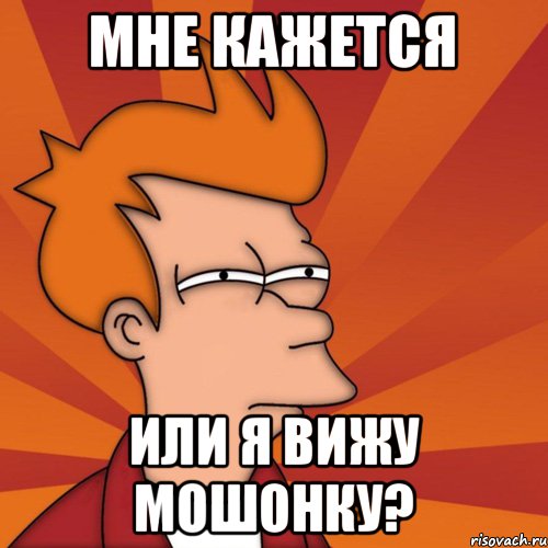 Мне кажется или я вижу мошонку?, Мем Мне кажется или (Фрай Футурама)