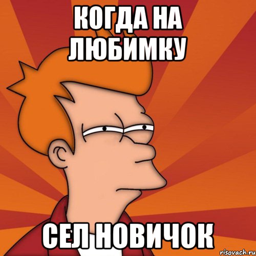 Когда на любимку Сел новичок, Мем Мне кажется или (Фрай Футурама)
