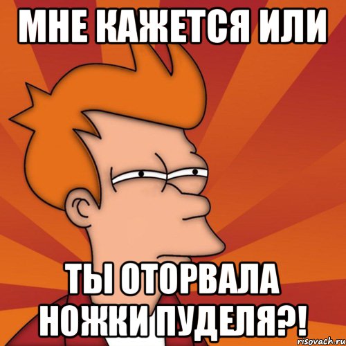 Мне кажется или ты оторвала ножки пуделя?!, Мем Мне кажется или (Фрай Футурама)