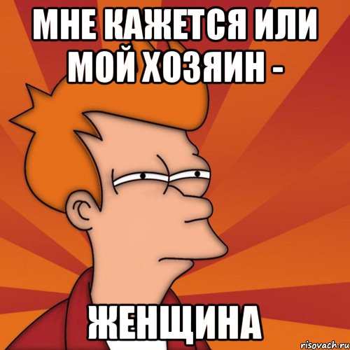 Мне кажется или мой хозяин - Женщина, Мем Мне кажется или (Фрай Футурама)