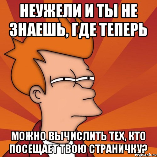 Неужели и ты не знаешь, где теперь можно вычислить тех, кто посещает твою страничку?, Мем Мне кажется или (Фрай Футурама)