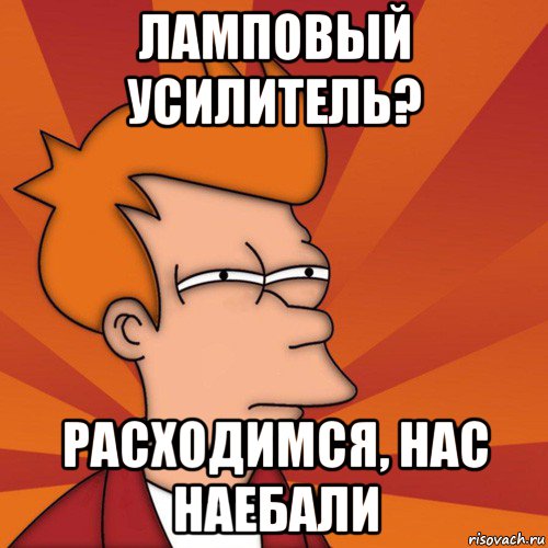 ламповый усилитель? расходимся, нас наебали, Мем Мне кажется или (Фрай Футурама)