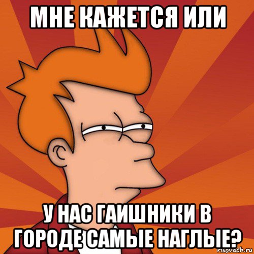 мне кажется или у нас гаишники в городе самые наглые?, Мем Мне кажется или (Фрай Футурама)