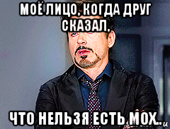 моё лицо, когда друг сказал, что нельзя есть мох.., Мем мое лицо когда