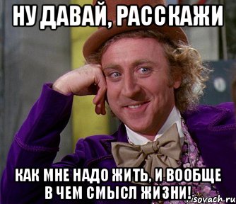 Ну давай, расскажи Как мне надо жить, и вообще в чем смысл жизни!, Мем мое лицо