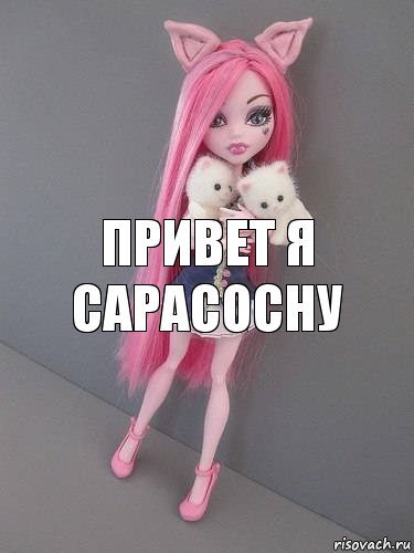 Привет я Сарасосну