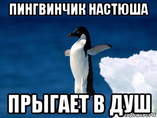 Статус будь моим пингвинчиком Статус будь моим пингвинчиком