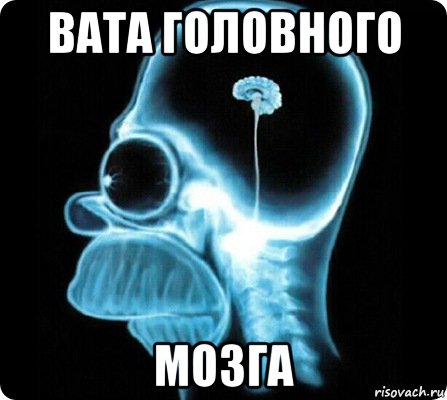 вата головного мозга, Мем мозг