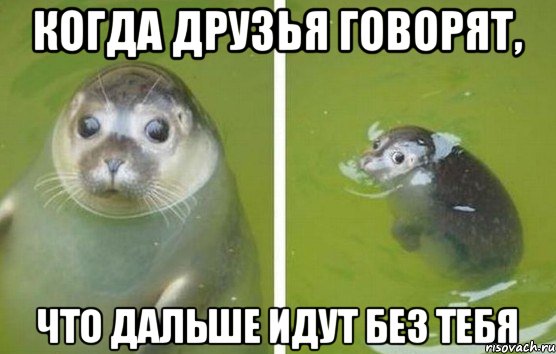 Когда друзья говорят, Что дальше идут без тебя, Мем мсипн