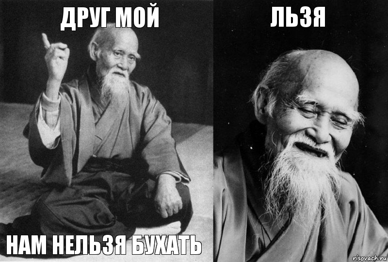 Друг мой нам нельзя бухать льзя , Комикс Мудрец-монах (4 зоны)