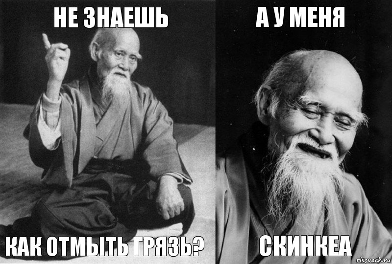 НЕ ЗНАЕШЬ КАК ОТМЫТЬ ГРЯЗЬ? А У МЕНЯ СКИНКЕА, Комикс Мудрец-монах (4 зоны)