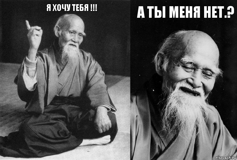 Я хочу тебя !!! А ты меня нет.?, Комикс Мудрец-монах (2 зоны)