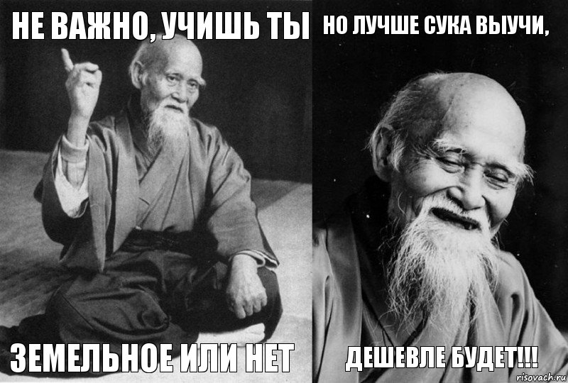 Не важно, учишь ты земельное или нет но лучше сука выучи, дешевле будет!!!, Комикс Мудрец-монах (4 зоны)