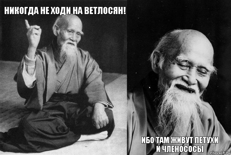 Никогда не ходи на ветлосян!   Ибо там живут петухи и членососы, Комикс Мудрец-монах (4 зоны)