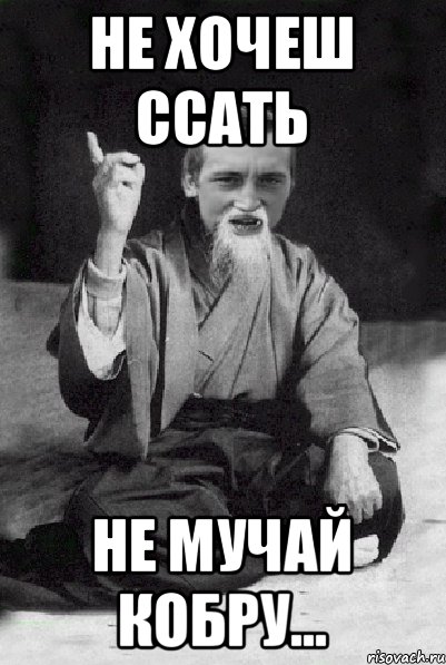 Не хочеш ссать не мучай кобру..., Мем Мудрий паца