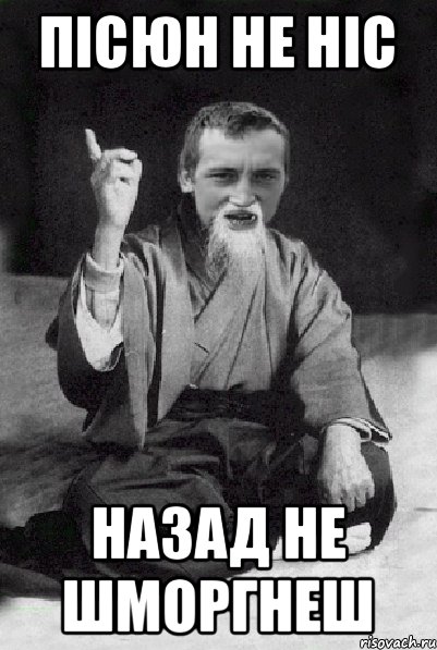 пісюн не ніс назад не шморгнеш, Мем Мудрий паца