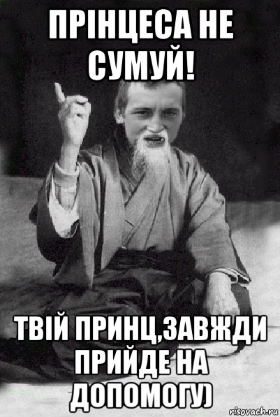 Прінцеса не сумуй! Твій принц,завжди прийде на допомогу), Мем Мудрий паца