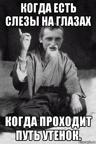 когда есть слезы на глазах когда проходит путь утенок., Мем Мудрий паца