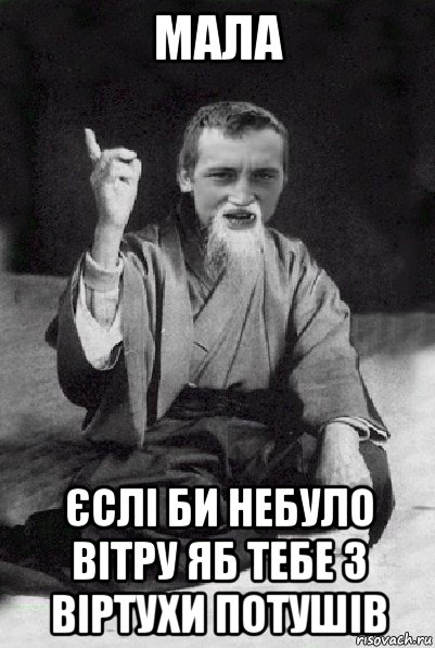 мала єслі би небуло вітру яб тебе з віртухи потушів, Мем Мудрий паца