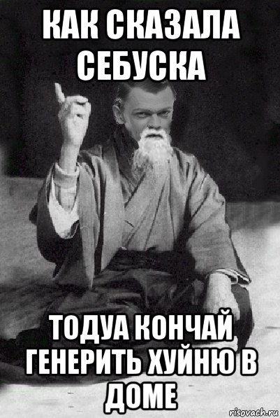 как сказала себуска тодуа кончай генерить хуйню в доме, Мем Мудрий Виталька