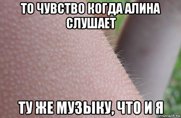 то чувство когда алина слушает ту же музыку, что и я