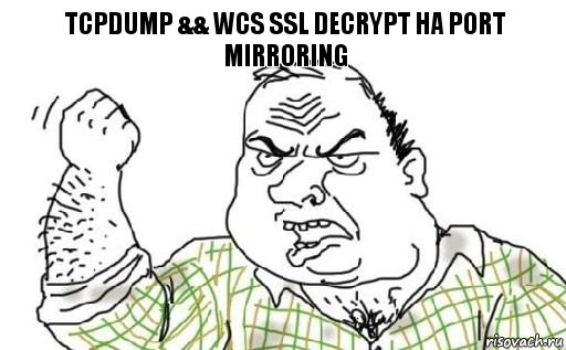 tcpdump && WCS ssl decrypt на port mirroring, Комикс Мужик блеать