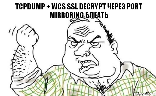 tcpdump + WCS ssl decrypt через port mirroring БЛЕАТЬ, Комикс Мужик блеать